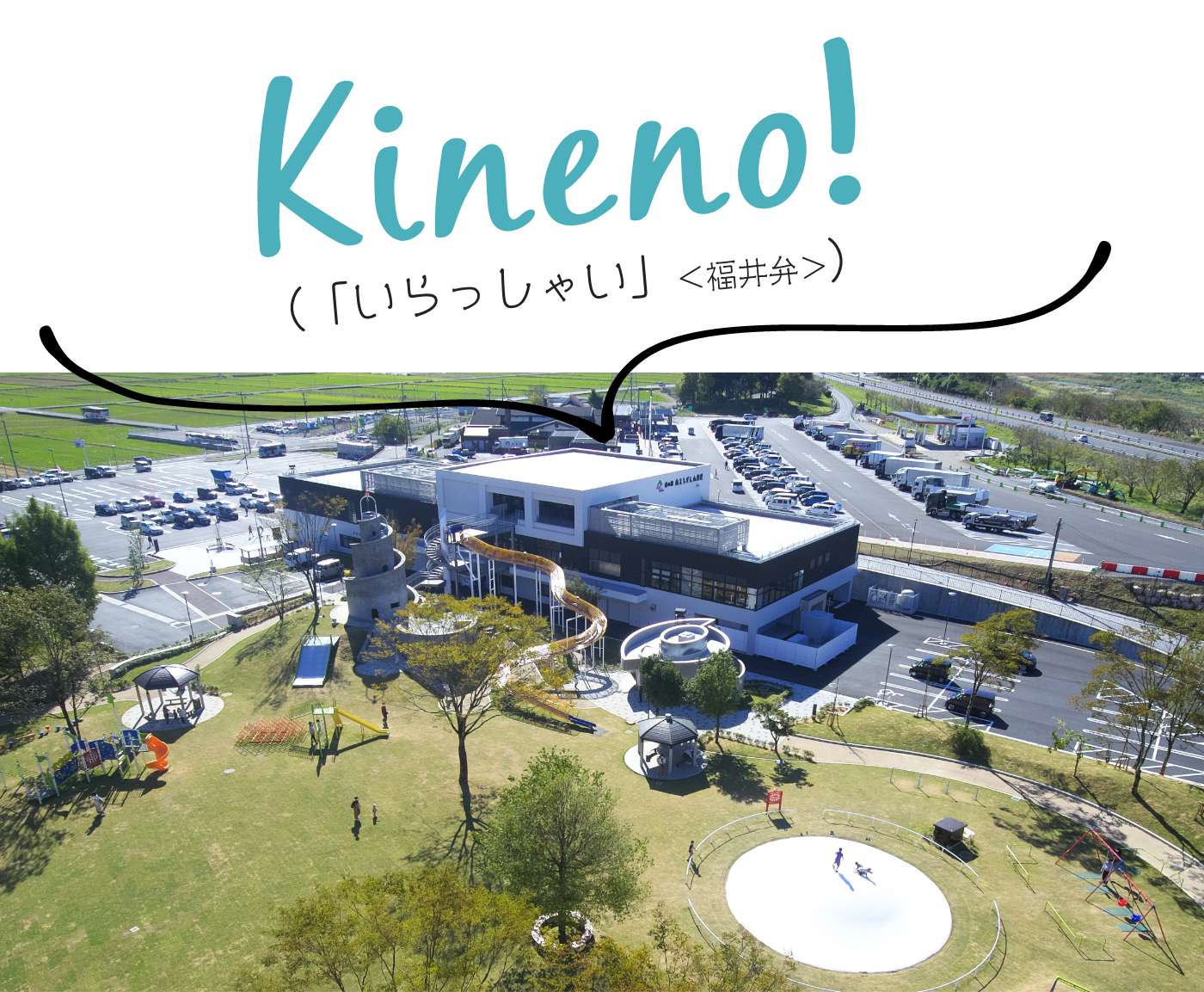 Kineno!いらっしゃい